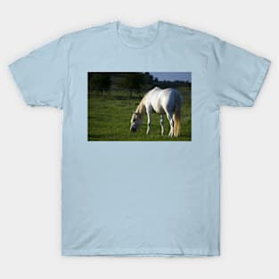 Heaven on Earth T-Shirt